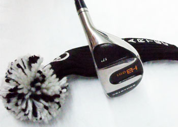   SONARTEC  HB 001 17度铁木杆